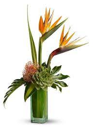 Birds Of Beauty Bouquet The Exciting Arrangement Includes Birds Of Paradise And Tropical Floral Arrangements Tropical Flower Arrangements Flower Arrangements