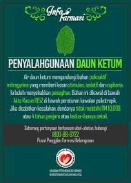 Bernama melaporkan air rebusan daun ketum boleh menjejaskan sistem saraf pusat manusia dan berupaya menjadikan seseorang itu ketagih kerana mengandungi mitraginin yang tahap ketagihannya sama dengan morfin. Apa Itu Daun Ketum Ada Yang Bertanya Selayang Hospital Facebook