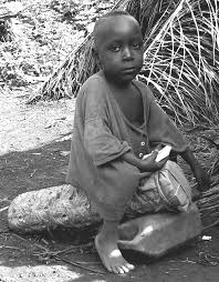 Image result for Sarcophrynium brachystachyum