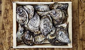oysters recipe nutrition precision