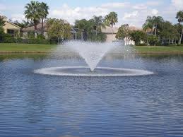 This can be one of the easiest and most affordable ways to get rid of pond muck. How To Eliminate Muck From Your Lake Or Pond Lake Weeds 4 The Lake