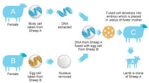 Top 10 Mind Blowing Ways The Future Is Being Shaped By Technology Toptenz Net Biology Resources Genetic Information Clone