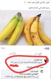 pin by abomohammad on صور وملصقات منوعة banana fruit food