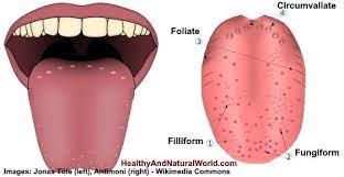 What causes a lie bump? How To Get Rid Of Lie Bumps The Most Effective Home Remedies
