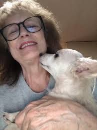 Adopted this boy yesterday from the shelter. He's 8.5 lbs. any idea what he  might be mixed with ??? Oh & his name is chance ❤️💙