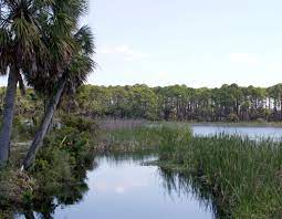 The island is made up of ridges and swales of sand dominated by live oak and other hardwoods. Explore Nature At St Vincent Island National Wildlife Refuge Walton Outdoors