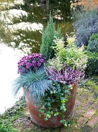 tuinadvies tip van de maand november herfst tuin tuin bloembakken planten