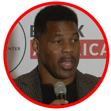 Today is Election Day. Here's everything you need to know about the  November 2022 elections