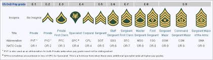 Looking for enlisted army rankings? Army Rank Structure Holding Down The Fort