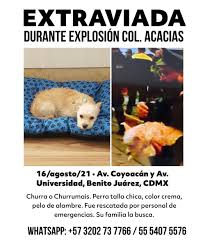 Jun 28, 2021 · el sistema de aguas de la cuidad de méxico, informó que la mega fuga se originó derivado de trabajos que realizaba la cfe en la zona. Cxx9 Btstfkvzm