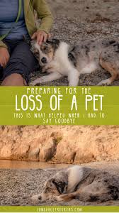 Following the loss of a pet, we need to allow ourselves to experience feelings of pain and sorrow, lagoni says. Grieving The Loss Of A Pet Tips For Preparing Before And Coping Afterward Long Haul Trekkers