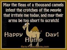 Comment must not exceed 1000 characters. Hump Day