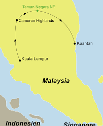 Taman negara is about 240 km from kuala lumpur city center, and estimated 3 hr 30 min driving. Cameron Highlands Taman Negara Nationalpark Abenteuer