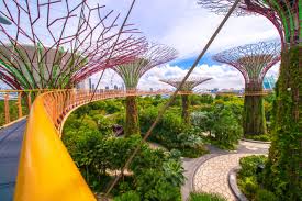 #gardensbythebay to give us permission to repost. Ocbc Skyway At Gardens By The Bay To Reopen On 7 September Silverkris