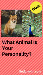 Pin On My Favorite Quizzes