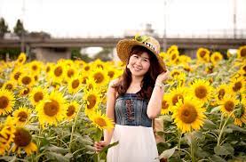 Bunga matahari memiliki 4 kelompok kultivar yang dibedakan berdasarkan kegunaan dan manfaat nya. Hamparan Bunga Matahari Cantik