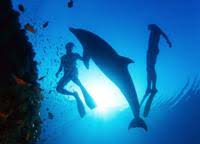 Pe ce peninsula se afla grecia. Regiuni Din Grecia Halkidiki Peninsula Kassandra Peninsula Kassandra Din Halkidiki Petreceri Plaje È™i Excursii OdihnÄƒ Pentru Copii