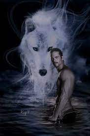 Paul Walker With A Wolf Spirit Wolf Spirit Fantasy Wolf Wolf Pictures