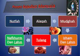 Pikiran manusia adalah hal yang luar biasa. Proses Kejadian Manusia Menurut Al Quran Dan Sains Berdasarkan Dalil Dalil Yang Sahih