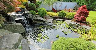 Weitere ideen zu teich ideen, teich, garten. Teich Und Biotop Pflege Im Jahresverlauf Wohnnet At