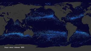 This is showing the fate of surface drifters in the north pacific, which collect in the famous 1.6 million square kilometer garbage patch. Svs Garbage Patch Visualization Experiment