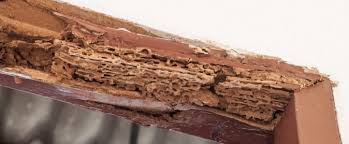 Looking for pest control services in durham region to help you reclaim the comfort, good health and safety of your home or place of business? Bug Extermination D Bugger Pest Control Mahopac Ny