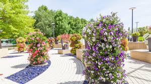 Garden flowers shop near me. Lechuza Pflanzgefasse Unsere Stores In Dietenhofen Und Zirndorf Lechuza Stores