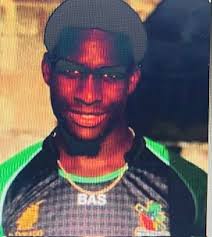 Cricket : Another Willet Making Waves