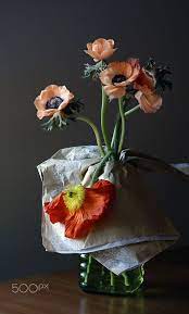 Anemone Anemone Foto Still Life Flowers