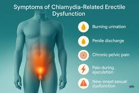 Image result for chlamydia symptoms