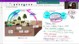 Novel tingkatan 4, 5 (spm). Kitar Nitrogen Bab 2 Sains Tingkatan 5 Youtube