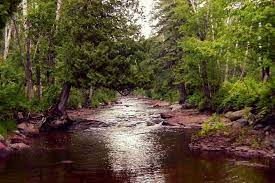 The park is best known for containing elk knob, which is one of the highest peaks in the area. The Most Beautiful Parks In Charlotte N C