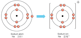 It also shows how to write the electron configuration of sodium (na) and the shorthand nobl. Lewis Electron Dot Structure Of Sodium Ion Novocom Top