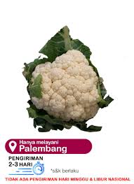 We did not find results for: Gerobak Sayur Bunga Kol 500g Klikindomaret