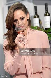 44 Jerez Wine Press Stock Photos, High-Res Pictures, and Images