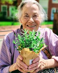 Katrina H Hall Obituary March 12, 2025