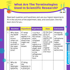 Free & printable grade 5 math worksheets. Fifth Grade Science Worksheets For Kids Free Printable Momjunction
