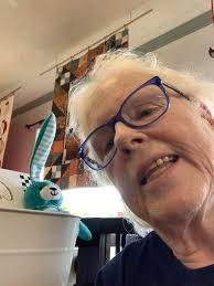 Anyone else obsessed with silkies!?