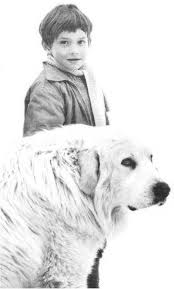 Au cinéma le 18 décembre. 18 Belle And Sabastien Ideas Belle And Sebastian Belle My Childhood