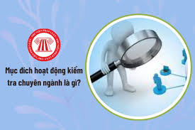 Mục đích hoạt động kiểm tra chuyên ngành là gì? Thẩm quyền kiểm tra chuyên ngành được quy định như thế nào?