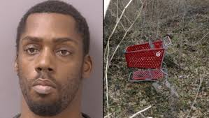 Sonya Champ's death deemed homicide, Shopping Cart Killer is person of  interest: DC police