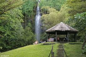 Pic Nic Anse Des Cascades Photo De Avant Gout De La Reunion Lete Tan Paysage Reunion La Reunion Reunion Island