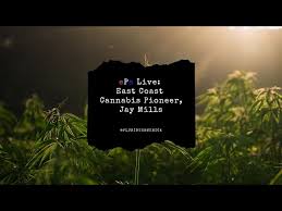 ePa Live: East Coast Cannabis Pioneer, Jay Mills