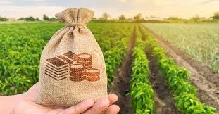 Wheat Supply Chain