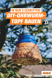 pin auf obi naturnaher garten