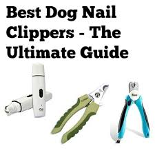 best dog nail clippers reviews 2020
