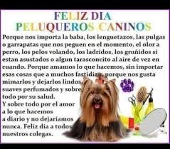 Este 25 de agosto se celebra el día del peluquero en la argentina y en todo el mundo. Dia Del Peluquero Guaau Guaau Guapo Peluqueria Canina Facebook