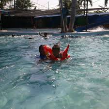 Kolam renang dan situs candi pari ini berada di alamat candi pari, . Kolam Renang Candi Pari 2 Tips From 18 Visitors