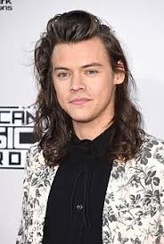 Second support video, with the lovely harry. Harry Styles Europa Song Contest Wiki Fandom