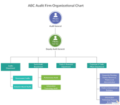 Org Chart For Company Audit You Can Edit This Template And